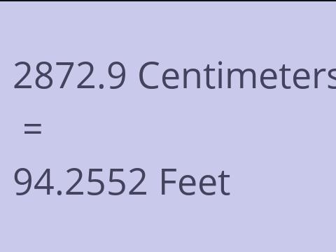 2872.9 CM TO FEET