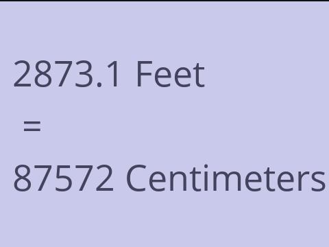 2873.1 FEET TO CM