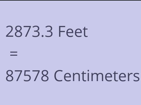 2873.3 FEET TO CM