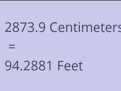 2873.9 CM TO FEET