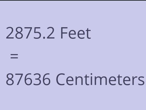 2875.2 FEET TO CM