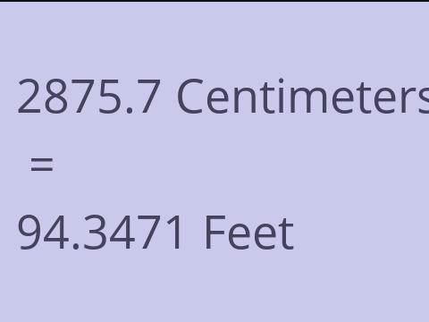 2875.7 CM TO FEET