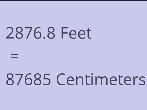 2876.8 FEET TO CM