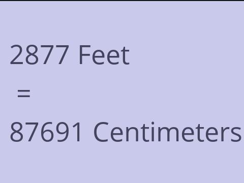 2877 FEET TO CM