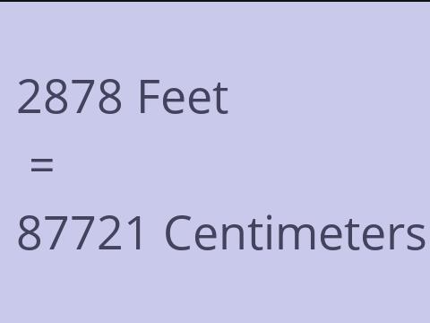 2878 FEET TO CM
