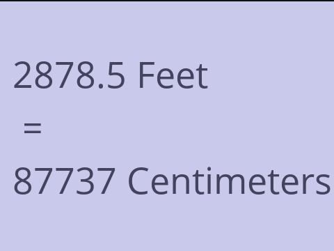 2878.5 FEET TO CM