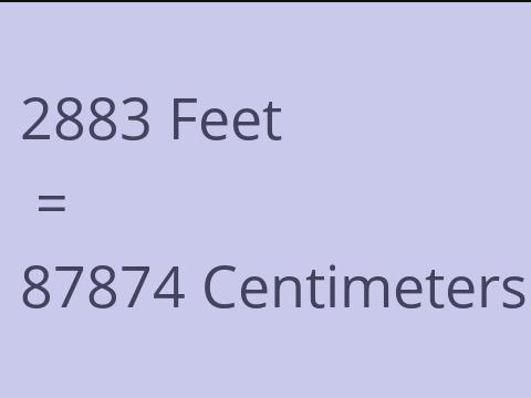 2883 FEET TO CM
