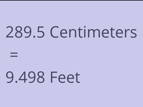 289.5 CM TO FEET