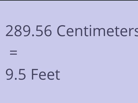 289.56 CM TO FEET