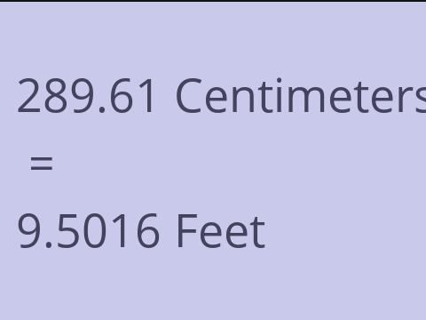 289.61 CM TO FEET