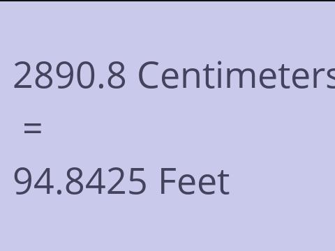 2890.8 CM TO FEET