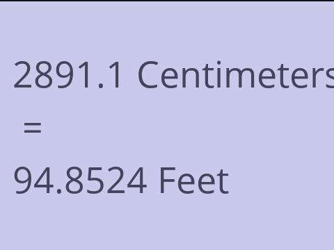 2891.1 CM TO FEET