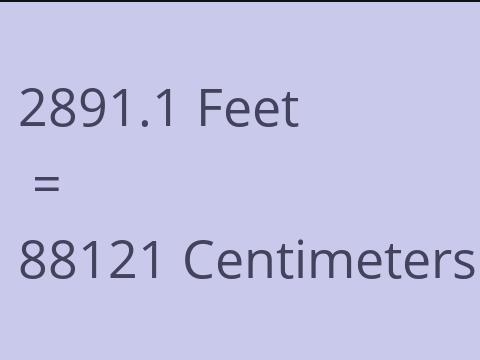 2891.1 FEET TO CM