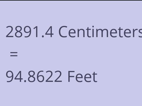 2891.4 CM TO FEET