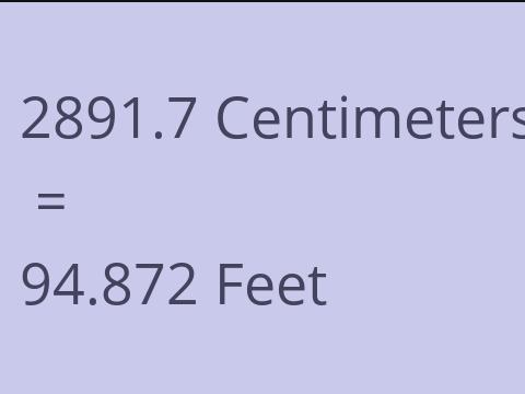 2891.7 CM TO FEET