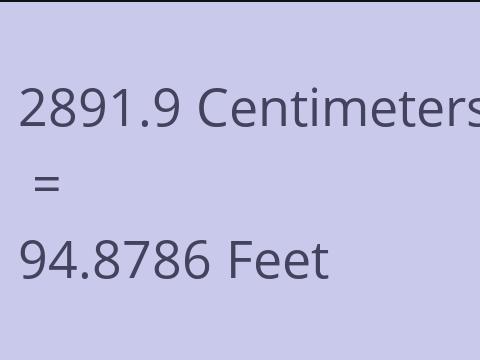 2891.9 CM TO FEET