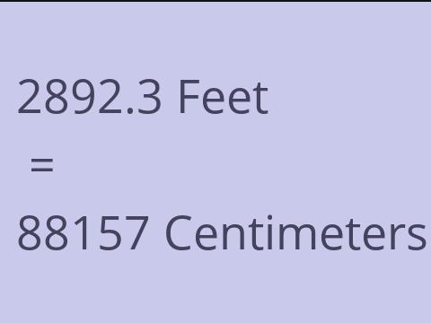 2892.3 FEET TO CM