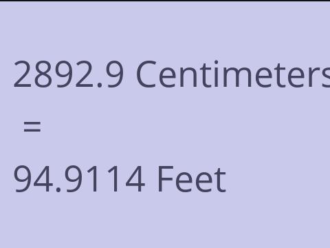2892.9 CM TO FEET