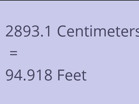 2893.1 CM TO FEET