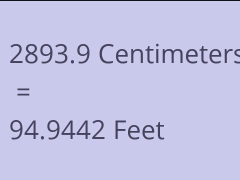 2893.9 CM TO FEET