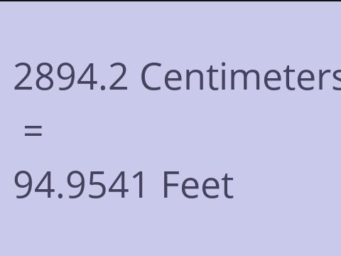 2894.2 CM TO FEET
