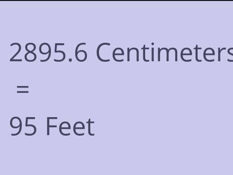 2895.6 CM TO FEET