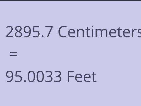 2895.7 CM TO FEET