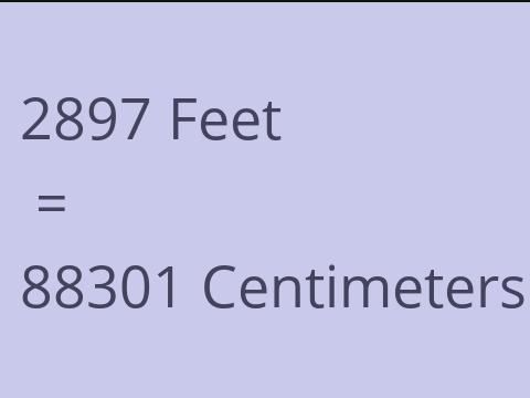 2897 FEET TO CM