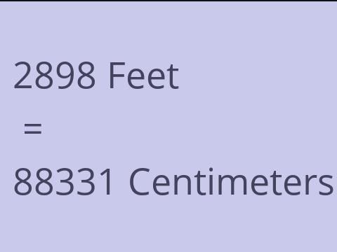 2898 FEET TO CM