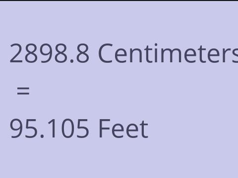 2898.8 CM TO FEET