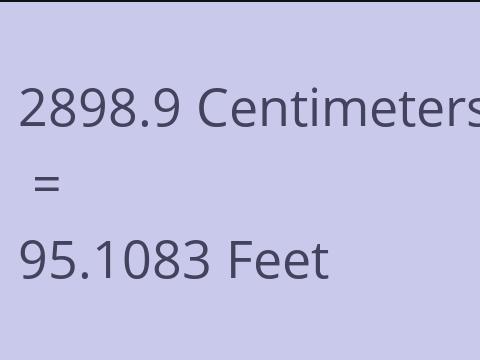 2898.9 CM TO FEET