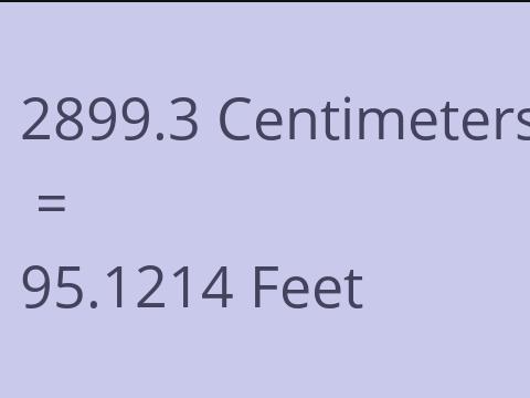 2899.3 CM TO FEET