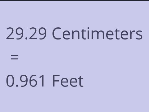 29.29 CM TO FEET