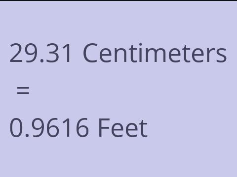 29.31 CM TO FEET