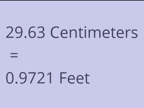 29.63 CM TO FEET