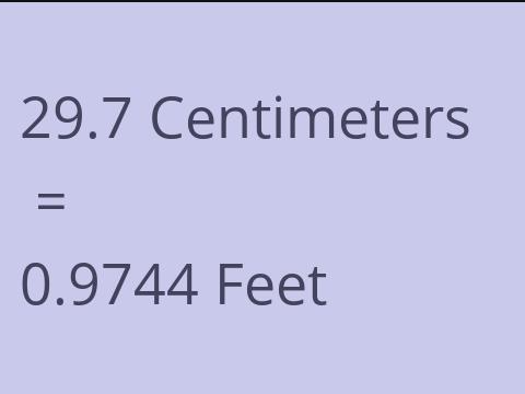 29.7 CM TO FEET