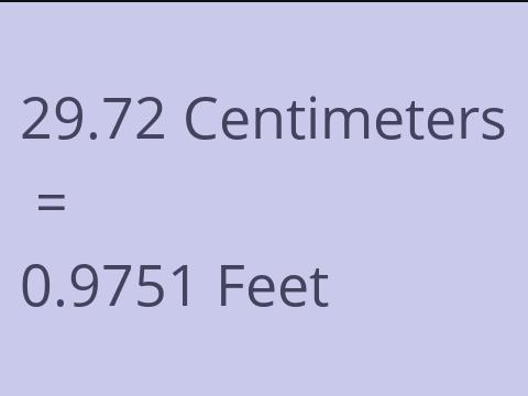 29.72 CM TO FEET