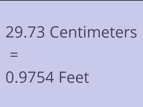 29.73 CM TO FEET