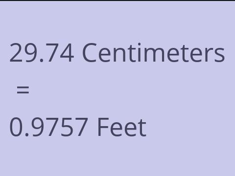 29.74 CM TO FEET