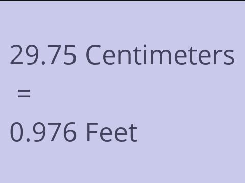 29.75 CM TO FEET