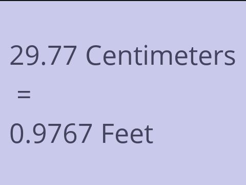 29.77 CM TO FEET