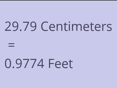 29.79 CM TO FEET