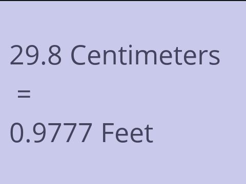 29.8 CM TO FEET