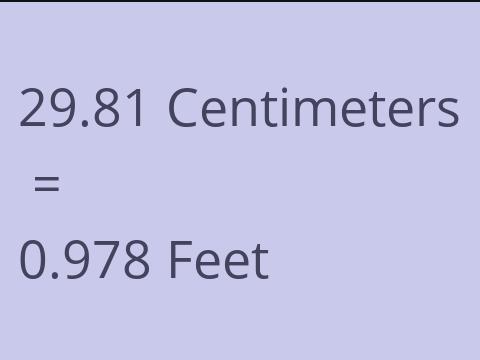 29.81 CM TO FEET