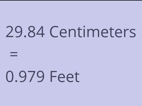 29.84 CM TO FEET