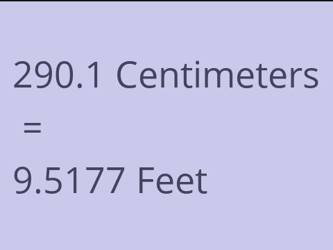 290.1 CM TO FEET