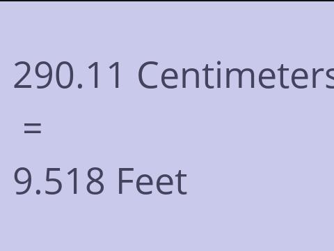 290.11 CM TO FEET