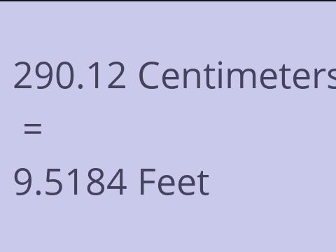 290.12 CM TO FEET