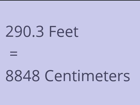 290.3 FEET TO CM