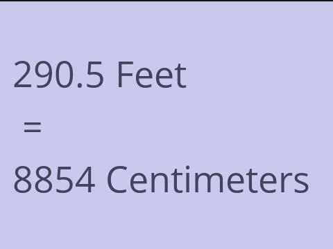 290.5 FEET TO CM